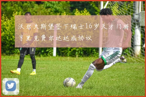 沃尔夫斯堡签下瑞士16岁天才门将亨里克费尔达达成协议